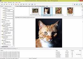 Extreme Picture Finder 3.65.12.0 Crack + License Key Full Latest 2024